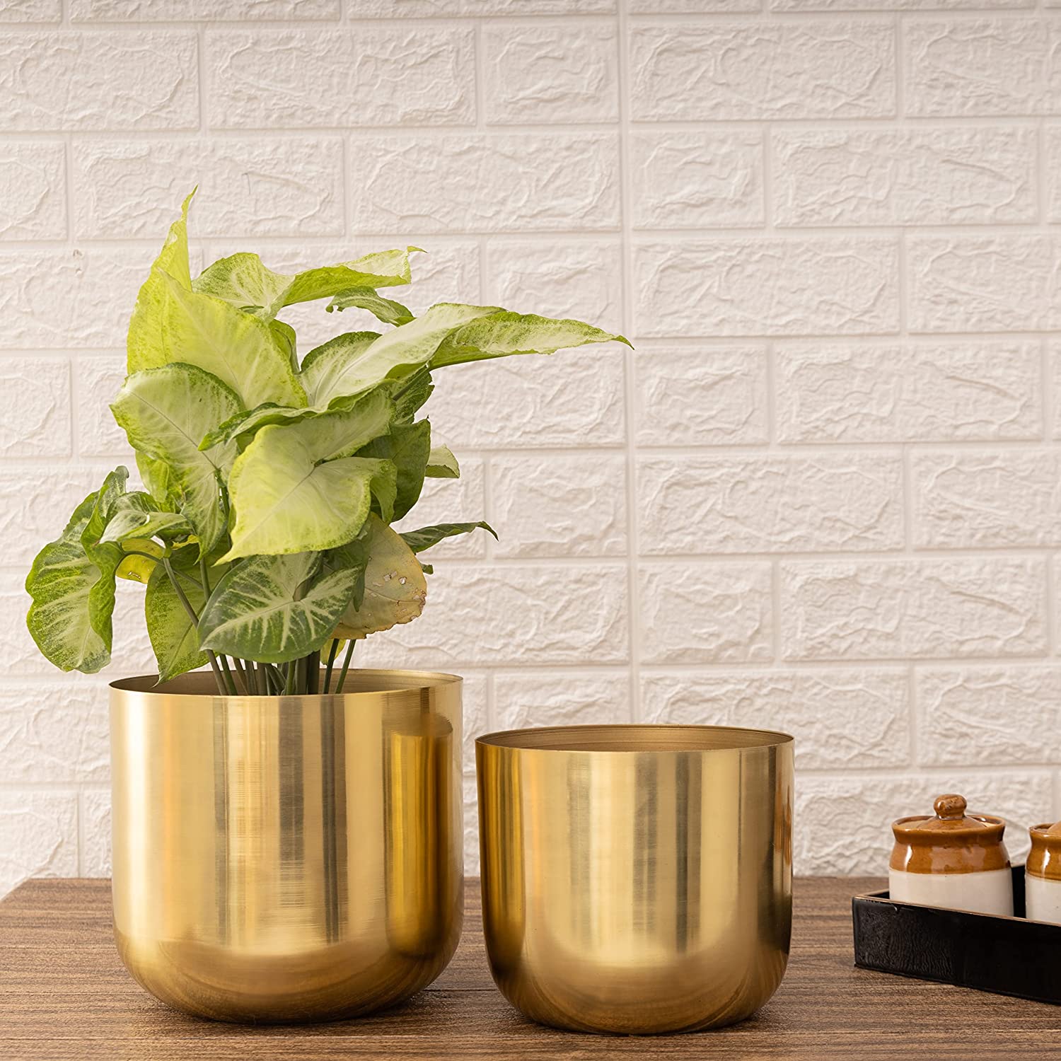 Luxe Gold Planters (Pack of 2)